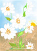 Lonely daisies digital painting