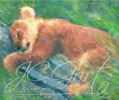 Baby lion in fine art digital painting