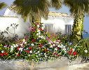Casita Vieja - Quadro digitale moderno di arte contemporanea con il rigoglioso giardino fiorito addossato ad una casetta Canaria dipinto sul medium digitale
