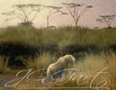 Leopardo - Quadro digitale moderno di arte contemporanea con felino maculato della savana Africana dipinto in stile neo-impressionista con la tecnica fine art digital painting