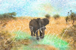 Solitudine - Quadro digitale moderno di arte contemporanea raffigurante la solitudine del vecchio elefante nel dipinto contemporaneo neo-impressionista eseguito con la tecnica fine art digital painting