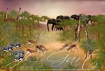 Tzavo pond in fine art digital painting